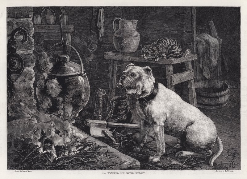 "En overvåket gryte koker aldri!" (gravering) av Louis Wain