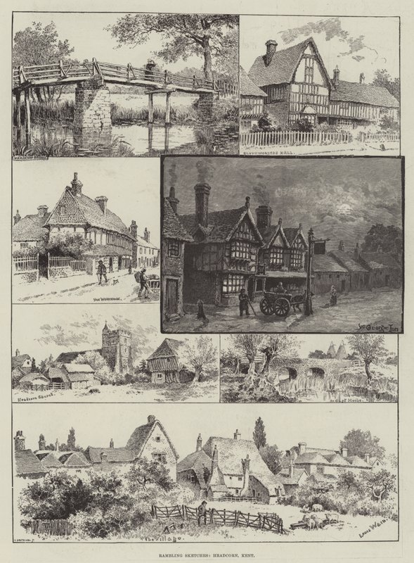 Vandrende skisser, Hodekorn, Kent av Louis Wain