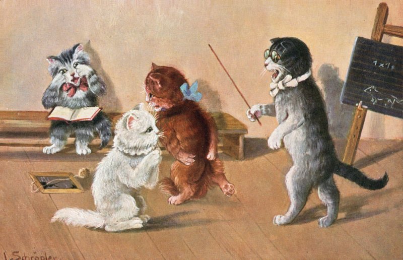 Humoristisk kattepostkort (farge litho) av Luise Schropler