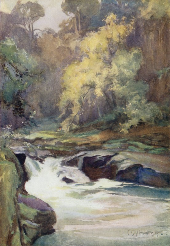 Wallace's Leap, nær Lanark (farge litho) av Mary Young Hunter