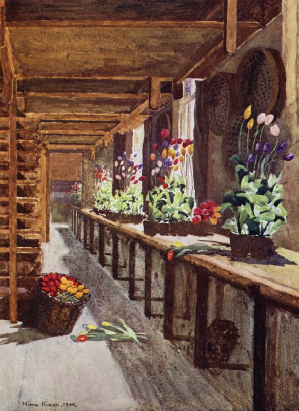 A Bulb House (farge litho) av Mima Nixon