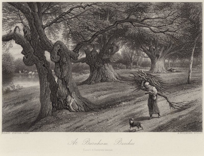 På Burnham Beeches av Myles Birket Foster
