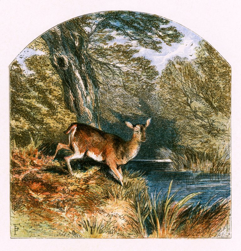 Illustrasjon for "The Captivity" av Myles Birket Foster