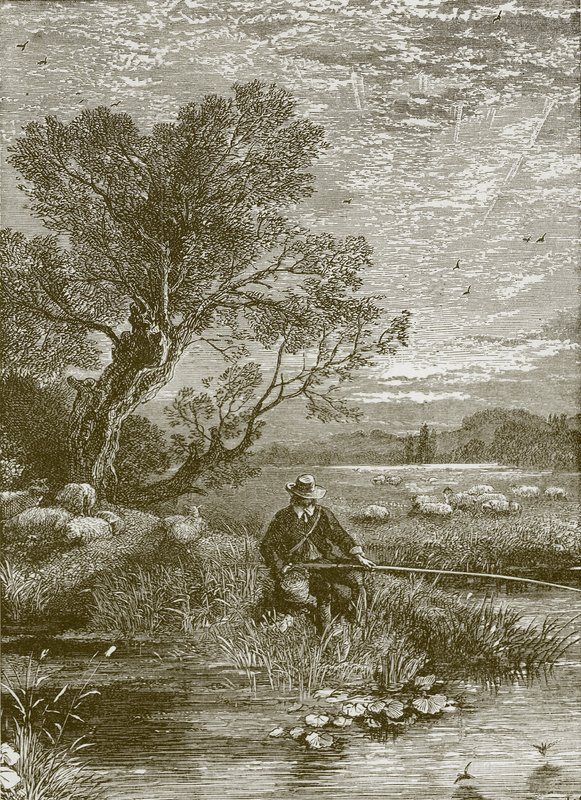 Anglerens ønske av Myles Birket Foster