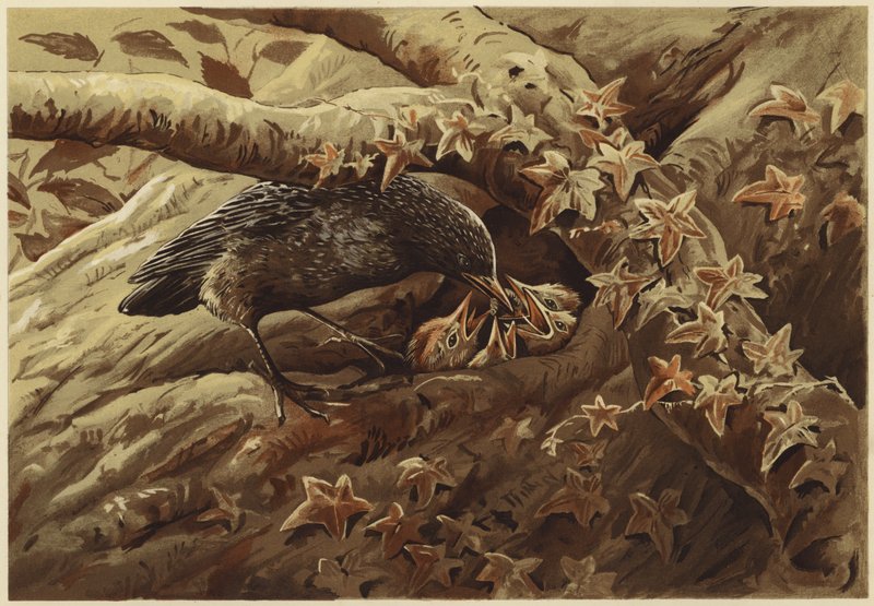 En støyende barnehage (litho) av N. Parker