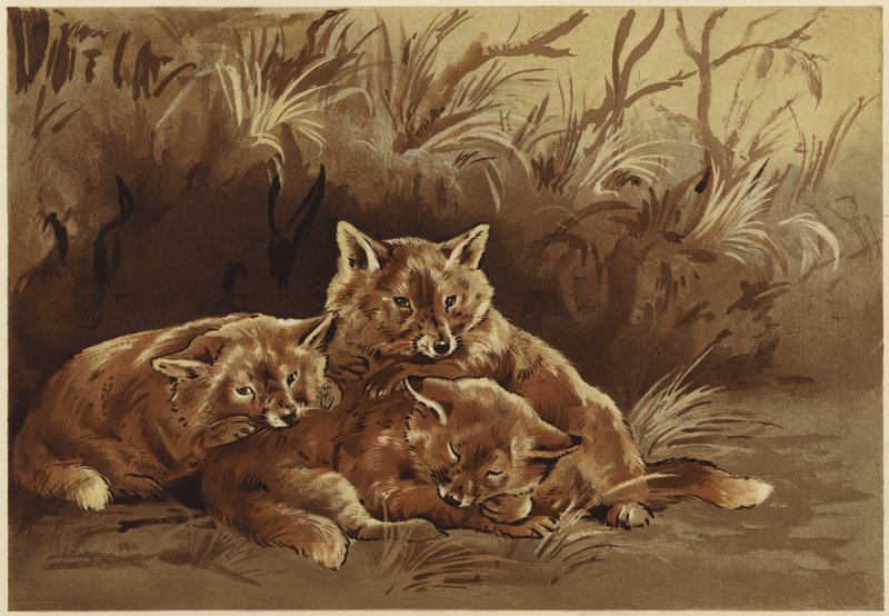 Røverhulen (litho) av N. Parker