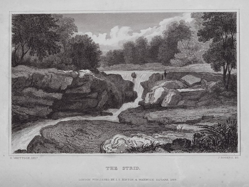 The Strid (gravering) av Nathaniel (after) Whittock