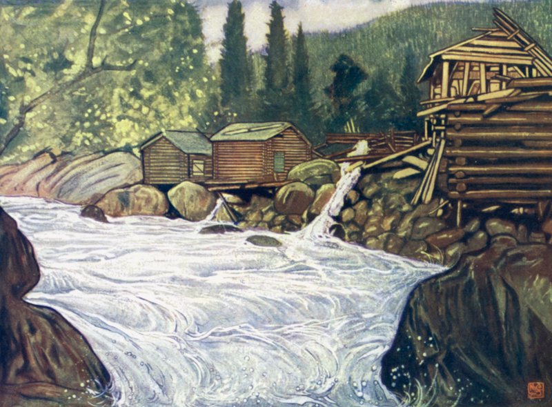 Norway: River at Haukeli av Nico Jungman