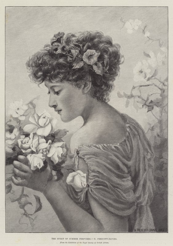 The Spirit of Summer Parfymer av Norman Prescott Davies