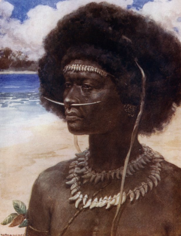 En New Guinea Dandy (farge litho) av Norman Hardy