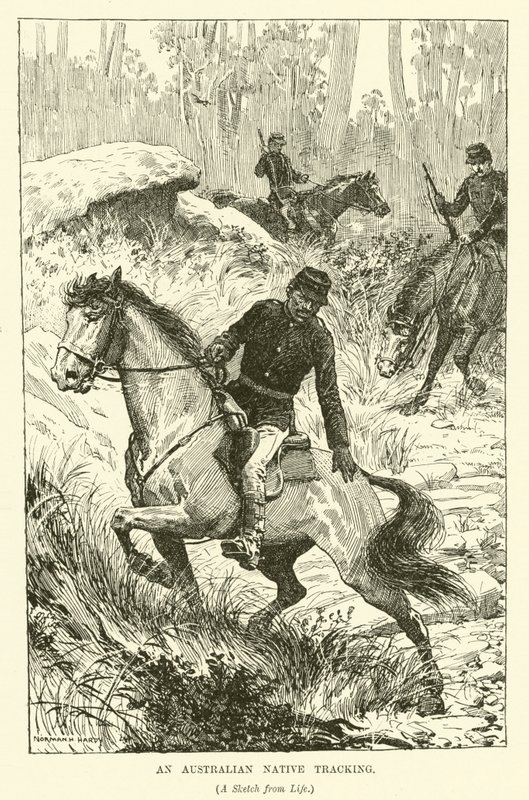 En australsk innfødt sporing (gravering) av Norman Hardy