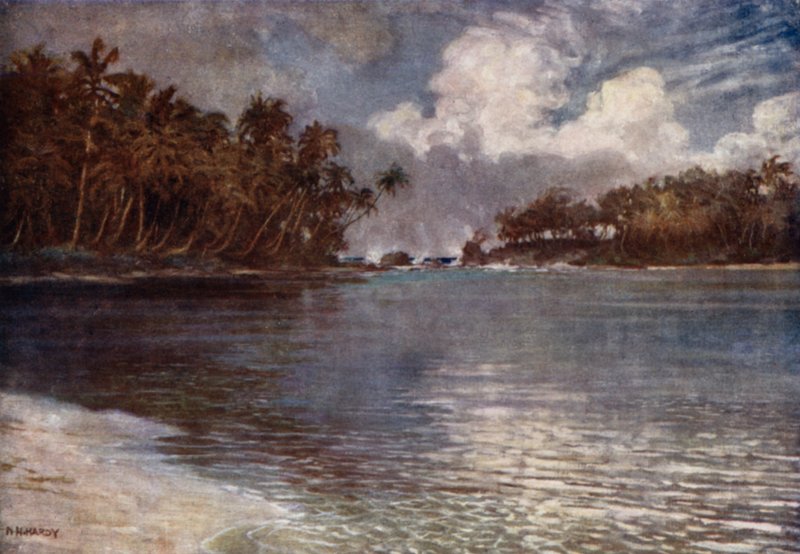 Av Reef og Palm (farge litho) av Norman Hardy