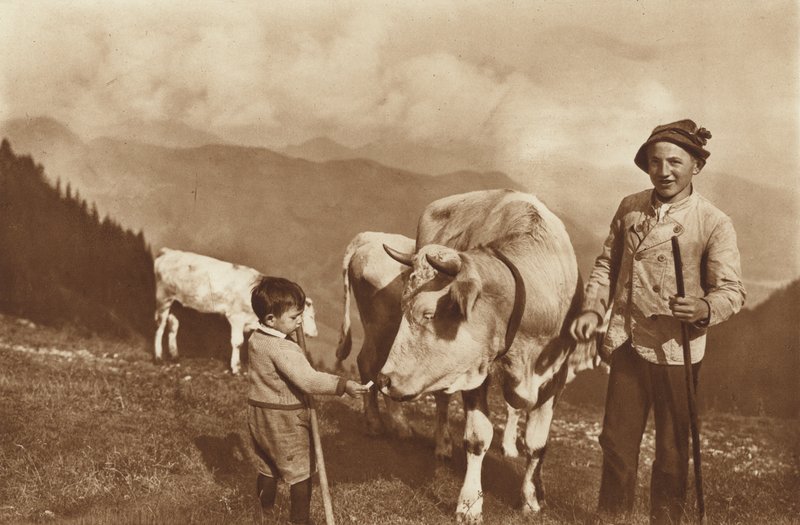 På Alpen av Otto Ballerstedt