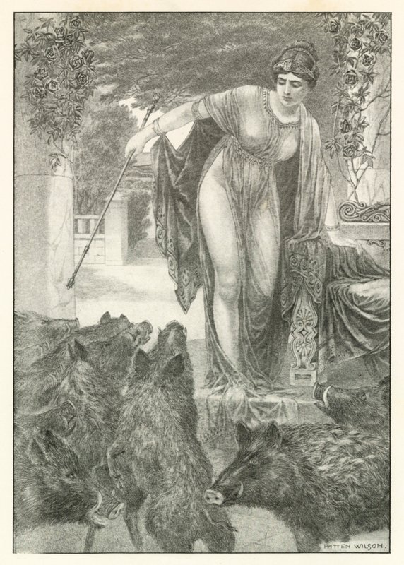  av Patten (after) Wilson