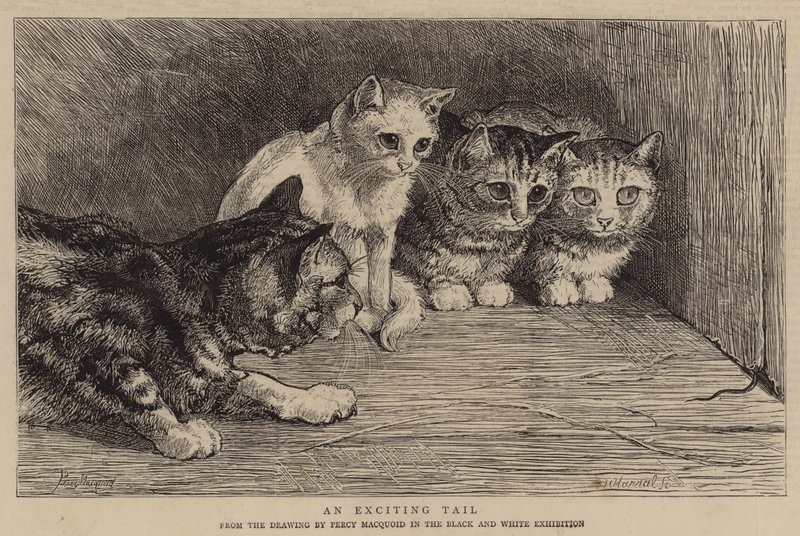 En spennende hale av Percy Macquoid