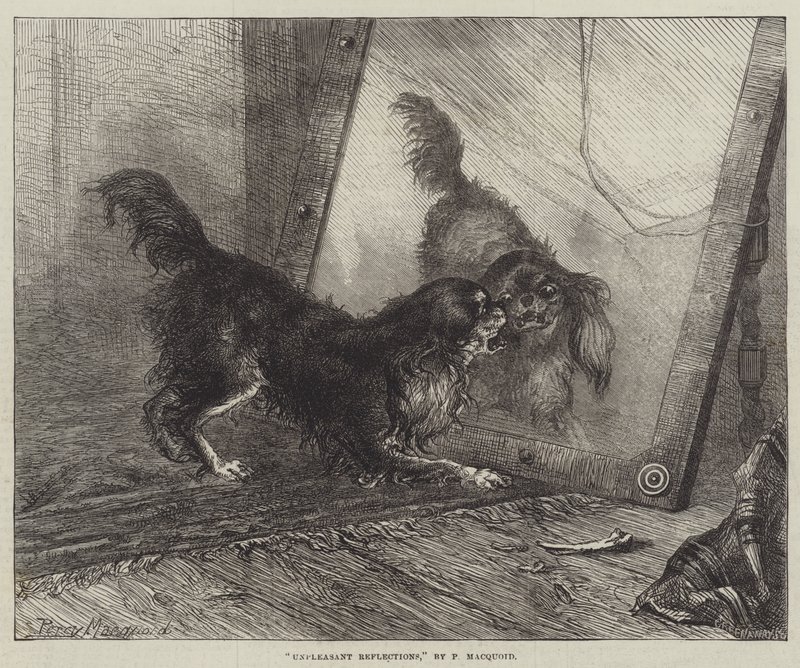 Ubehagelige refleksjoner av Percy Macquoid