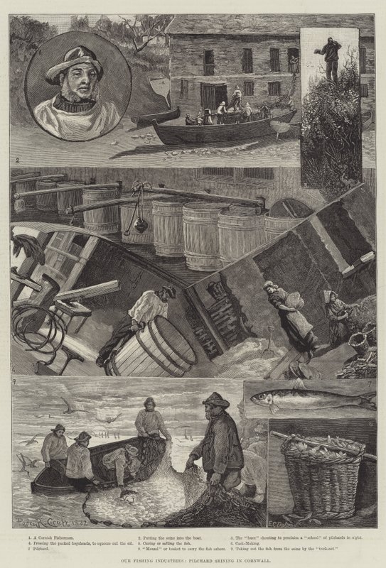 Vår fiskeindustri, Pilchard Seining i Cornwall av Percy Robert Craft