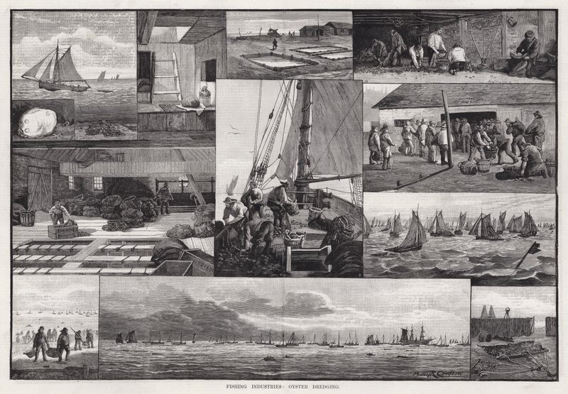 Fiskeindustri, østersmudring (gravering) av Percy Robert Craft