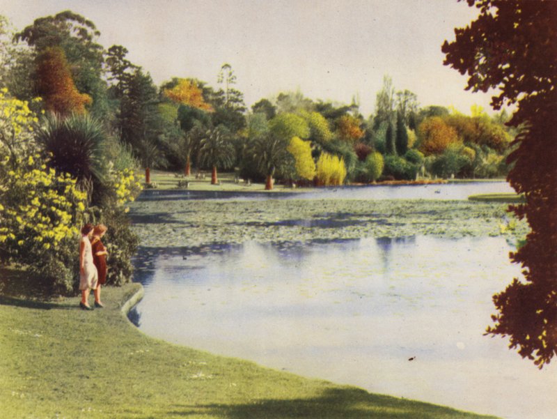 Melbourne botaniske hage (fargebilde) av Photographer Australian