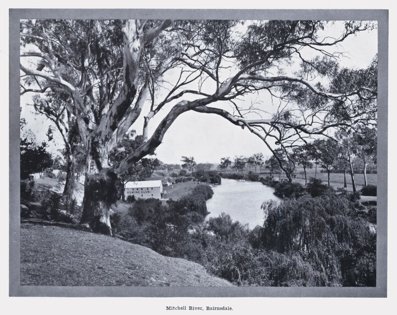 Mitchell River, Bairnsdale (s/hvitt bilde) av Photographer Australian