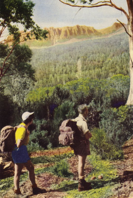 Tasmania: Turgåere nær Mount Olympus (fargebilde) av Photographer Australian