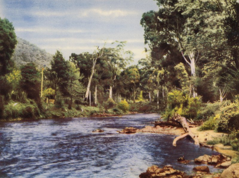 Yarra River (fargebilde) av Photographer Australian