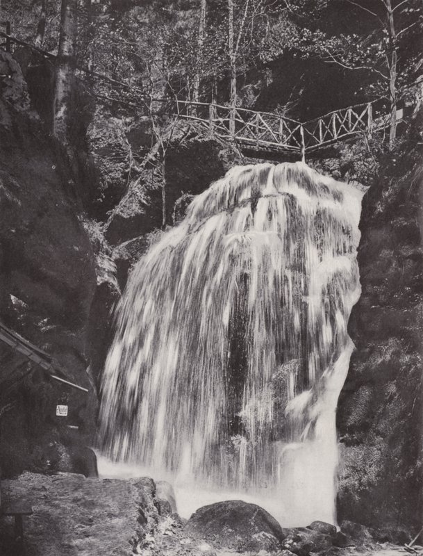 Amselfall (s/hvitt bilde) av Photographer German