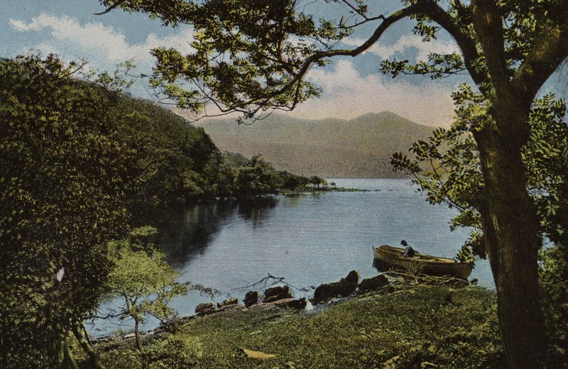 Sør-Irland: Ved Innisfallen, Killarney (farget bilde) av Photographer Irish