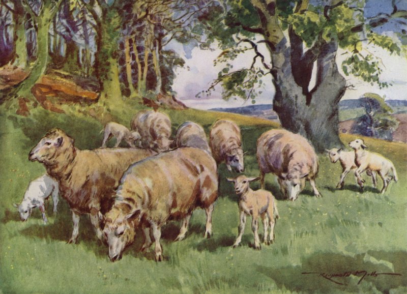 Illustrasjon for My Farm (farge litho) av Reginald Mills