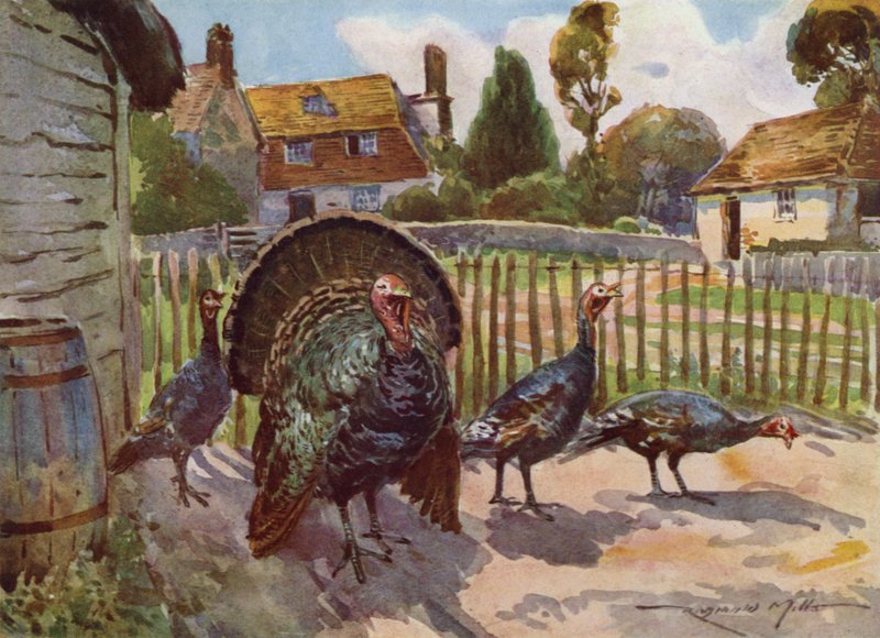 Illustrasjon for My Farm (farge litho) av Reginald Mills