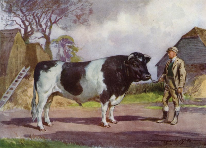 Illustrasjon for My Farm (farge litho) av Reginald Mills