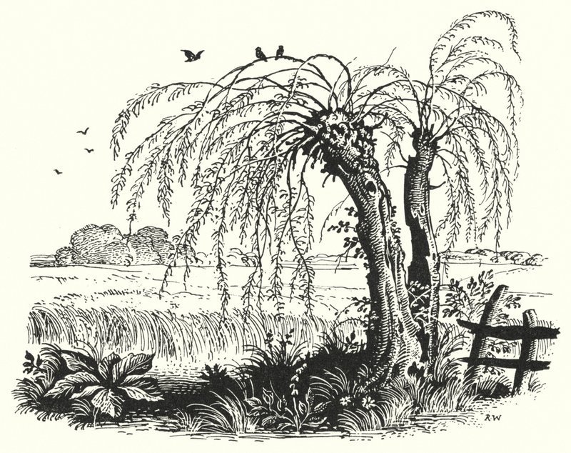 HC Andersen: Bokhveten (litho) av Rex (after) Whistler
