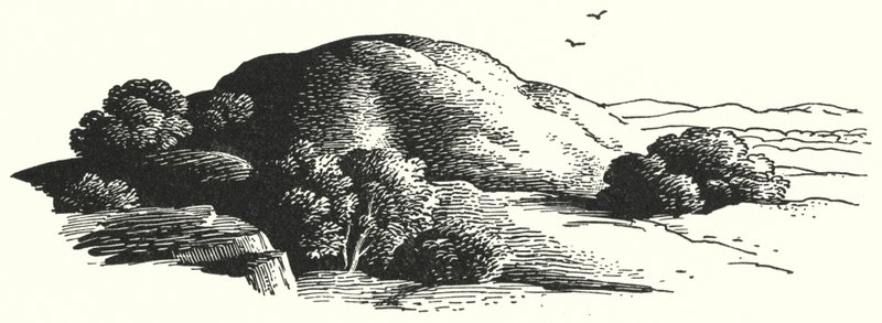 Hans Christian Andersen: Elfin-fjellet (litho) av Rex (after) Whistler