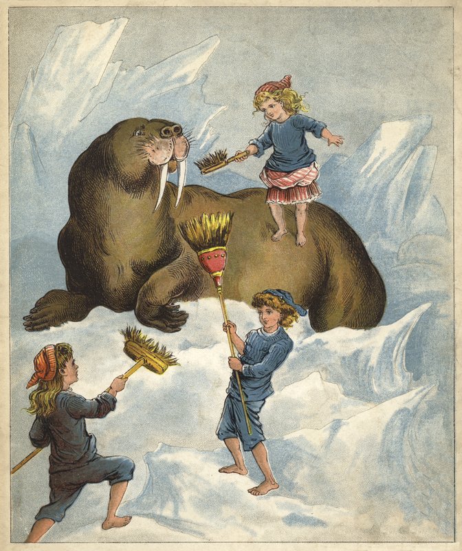 Rengjøring av tennene til en hvalross (chromolitho) av Richard Andre