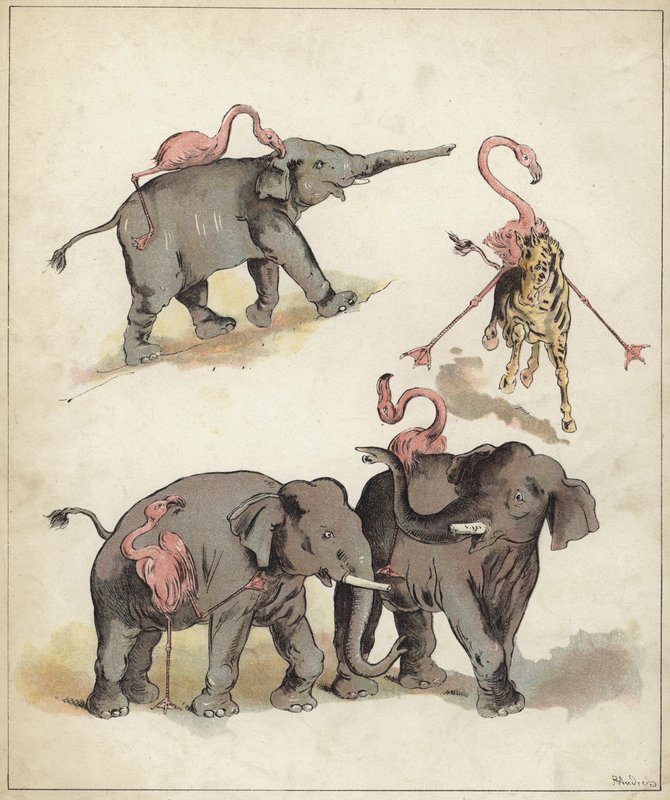 Elefanter og flamingoer (chromolitho) av Richard Andre