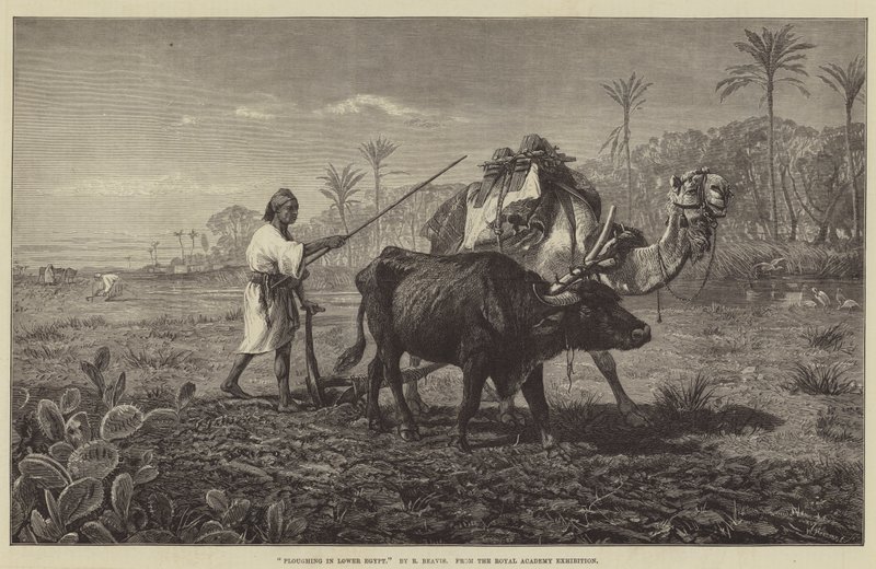 Pløying i Nedre Egypt av Richard Beavis