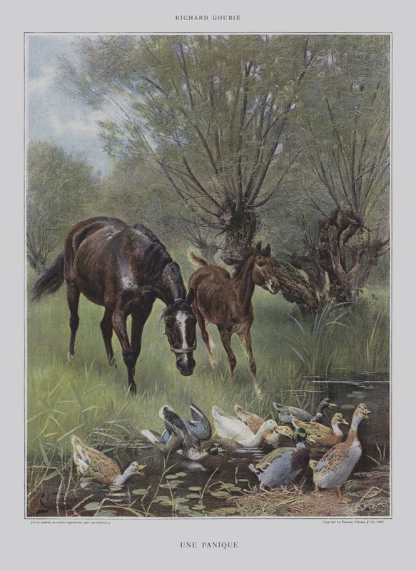 En panikk (en panikk) av Richard Doyle