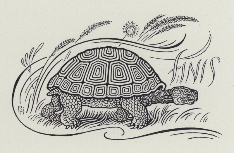 Hare And The Tortoise (gravering) av Richard Heighway