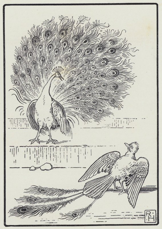 Jay And The Peacock (gravering) av Richard Heighway