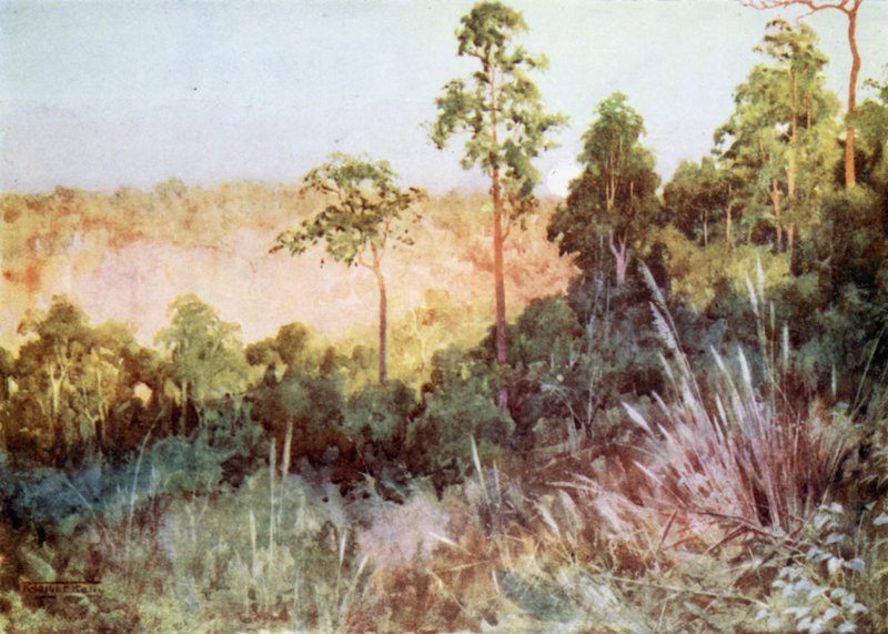 Jungel på Lashio-linjen av Robert George Talbot Kelly