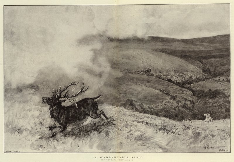 En garantert hjort av Robert Walker Macbeth