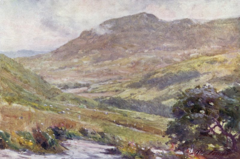 Et fjellpass, middag (farge litho) av Robert (after) Fowler