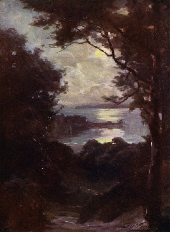 Beaumaris, Moonlight (farge litho) av Robert (after) Fowler