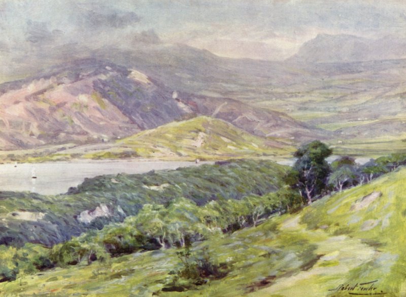 Duffws Mountain in Mist (farge litho) av Robert (after) Fowler