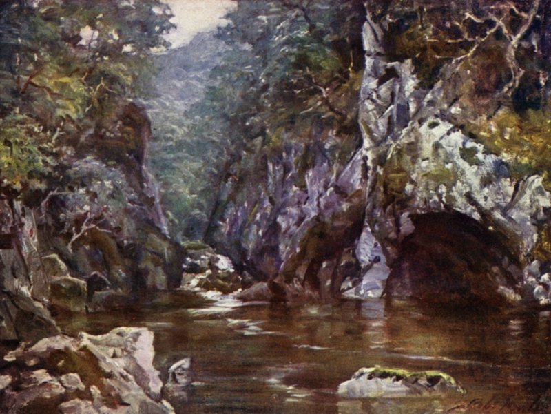 Fairy Glen, Bettws-y-Coed (litho-farge) av Robert (after) Fowler