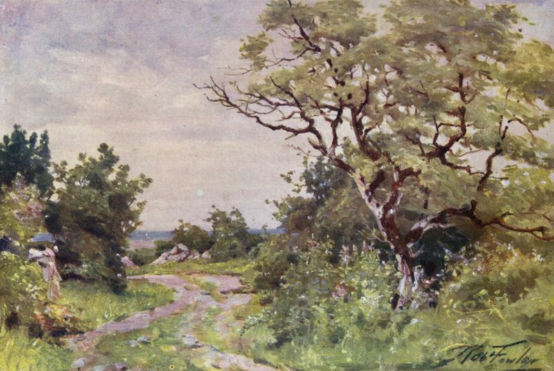 Field Path, nær Llanrug (farge litho) av Robert (after) Fowler