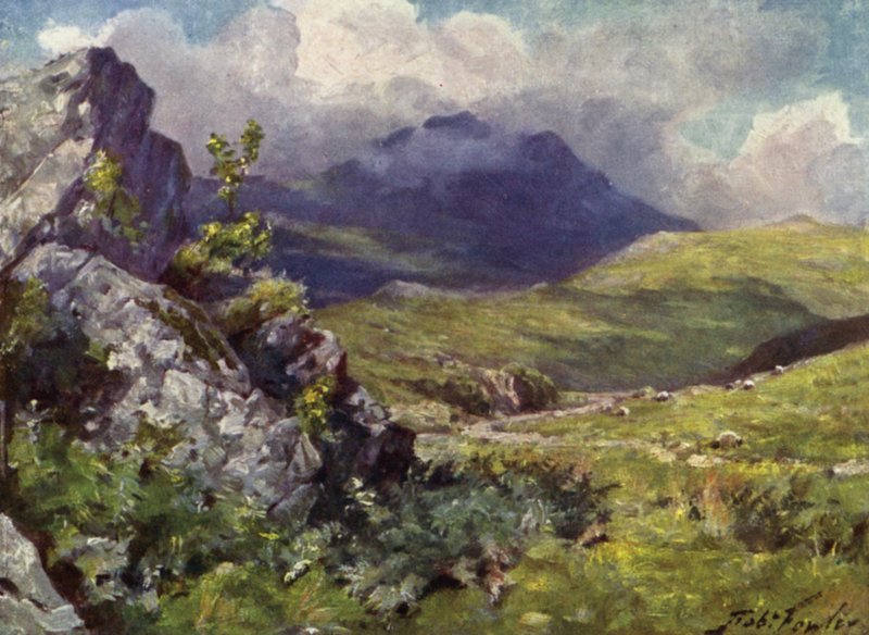 Utsikt over Moelwyn (farge litho) av Robert (after) Fowler