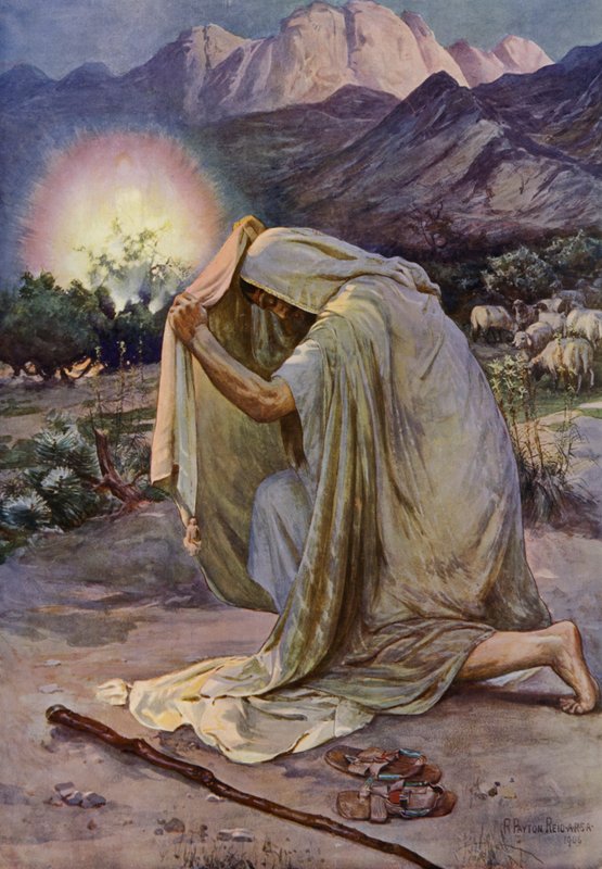 The Burning Bush (farge litho) av Robert Payton Reid
