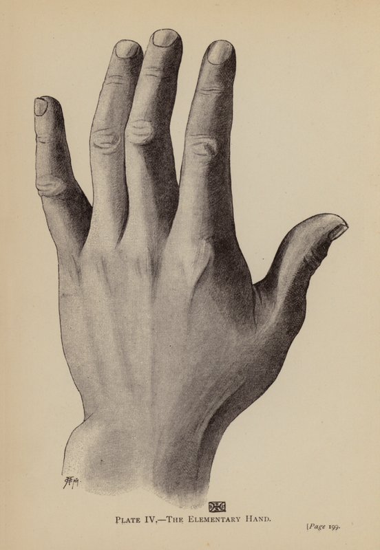 Den elementære hånden (litho) av Rosamund Brunel Horsley Gotch