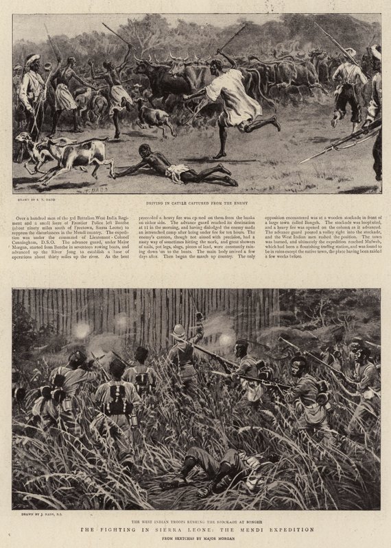 Kampene i Sierra Leone, Mendi-ekspedisjonen av S.T. Dadd